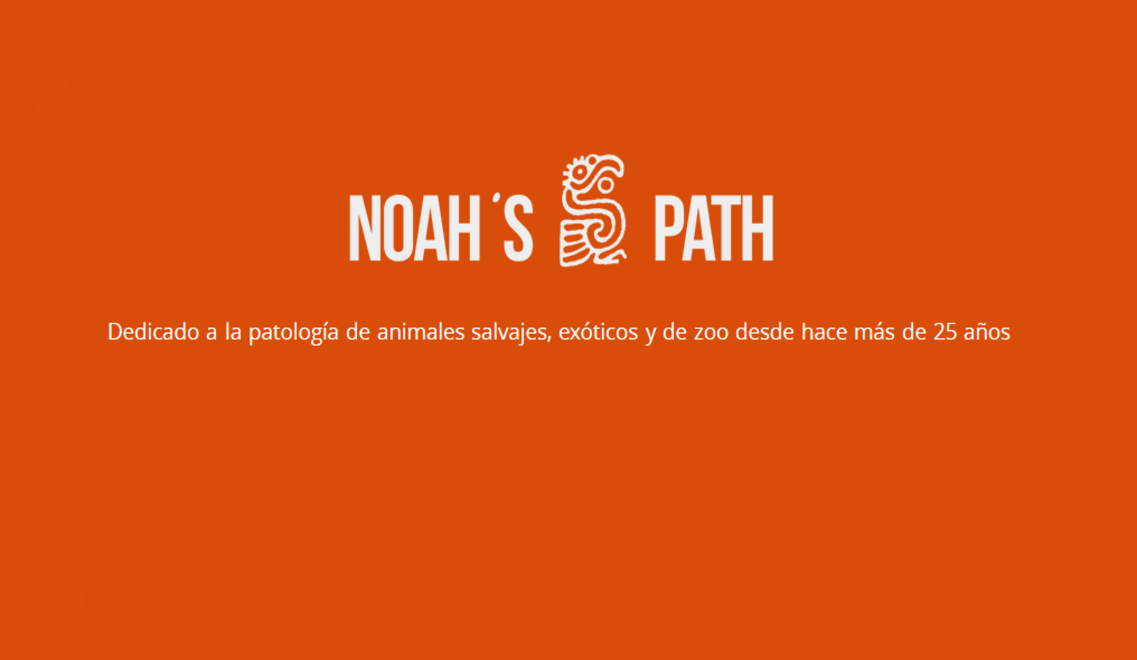 Noah's Path